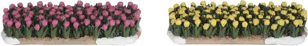 Luville Molendam Tulip field 2 pieces